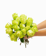 Load image into Gallery viewer, flower subscription | happy birthday flowers | flower box delivery | monthly flower subscription | fork and flowers | sympathy card messages | bulk flowers | babys breath | flower bouquets | flower delivery | types of flowers | forkandflowers.com | forkandflowers |
